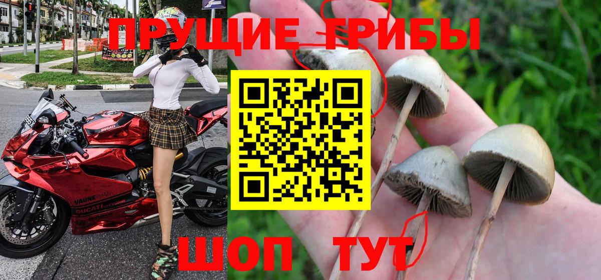 Галлюциногенные грибы мухоморы Стрежевой